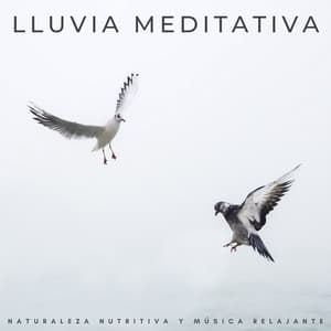 Lluvia Meditativa: Naturaleza Nutritiva Y Música Relajante - La lluvia es mi vida