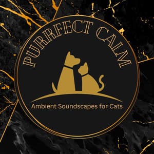 Purrfect Calm: Ambient Soundscapes for Cats - Cat meowing