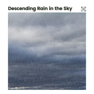 Descending Rain in the Sky - Recording Nature
