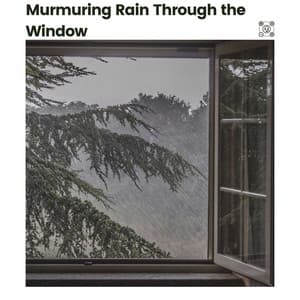 Murmuring Rain Through the Window - Best Rain Sounds ASMR