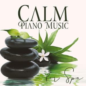Calm Piano Music for Spa - Wellness Spa Music Oasis