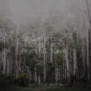 50 Comforting Songs for Peaceful Sleep - Sleep Music Lullabies