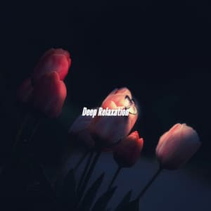 Deep Relaxation - Jazz per Studiare