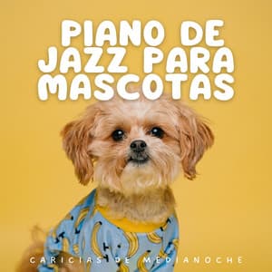 Caricias De Medianoche: Piano De Jazz Para Mascotas - Relajante Universo de Música de Piano