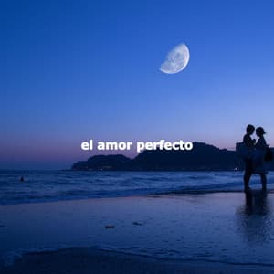 el amor perfecto - Restaurant Musik