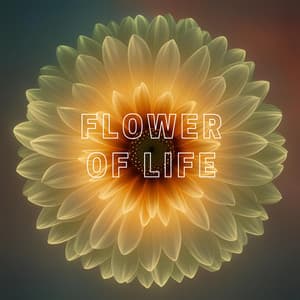 Flower of Life - Comet 1993