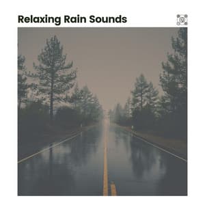 Relaxing Rain Sounds - Relaxing Rain Sounds