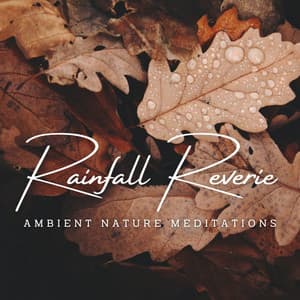 Rainfall Reverie: Ambient Nature Meditations - White Noise Rain