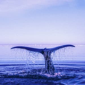 0 Hour Zen: Ethereal Soundscapes - Ocean Sounds