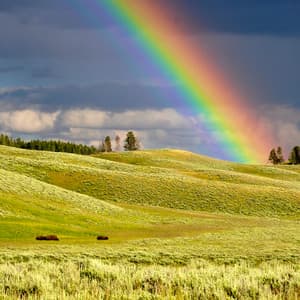 24Hr Rain: Stormy Serenity - 24H Rain Sounds