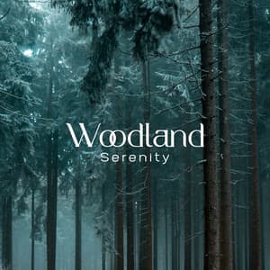 Woodland Serenity: Music to Help You Stay Calm - Universe of Nature Orchestra