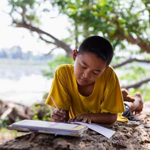 Mindful Study Waves: White Noise and Crystal Singing Bowl Serenity - White Noise Pink Noise