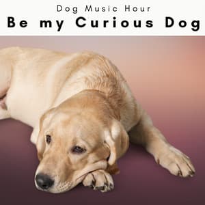 4 D: Be my Curious Dog - Dog Music Hour