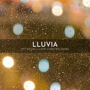 Lluvia: Notas De Lluvia Como Bálsamo - Concentracíon