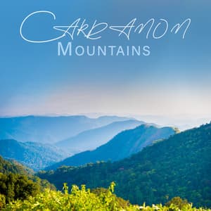 Cardamom Mountains - Wonderful World Music Consort