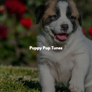 Puppy Pop Tunes - Thursday Morning Jazz Playlist