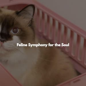 Feline Symphony for the Soul - Jazz Cafe Autumn