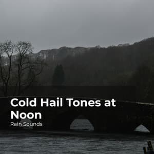 Cold Hail Tones at Noon - Rain Sounds