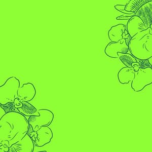 Jazz Piano Duo - Background for Sitting Back Jazz - Bossa Nova Jazz Lounge