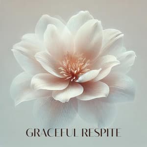 Graceful Respite: Sphere of Soothing Balance - Arun Mayer