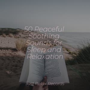 50 Peaceful Soothing Sounds for Sleep and Relaxation - Dormir