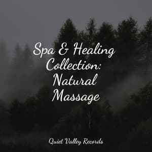 Spa & Healing Collection: Natural Massage - Calm Down