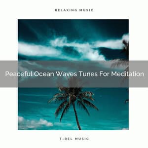 Peaceful Ocean Waves Tunes For Meditation - Perfect Meditation