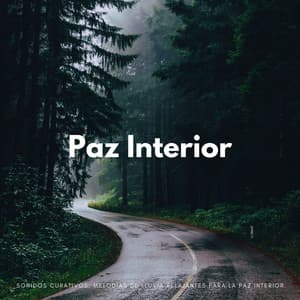 Sonidos Curativos: Melodías De Lluvia Relajantes Para La Paz Interior - Fábrica de Sonidos de Lluvia STHLM