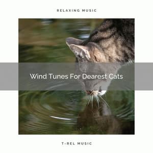 Wind Tunes For Dearest Cats - Cat Total Relax