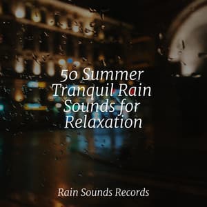 50 Summer Tranquil Rain Sounds for Relaxation - Nature Sounds