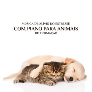 Música de Alívio do Estresse com Piano para Animais de Estimação: Cura para a Insônia para Cães e Gatos - Ruído Branco Academia De Música