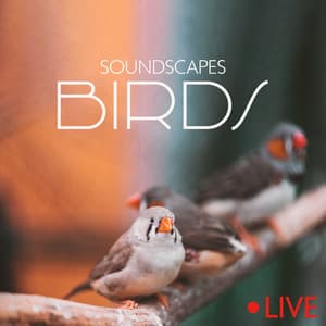 Soundscapes Birds - Nature Zone