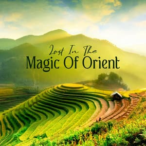 Lost In The Magic Of Orient - Organic Sound
