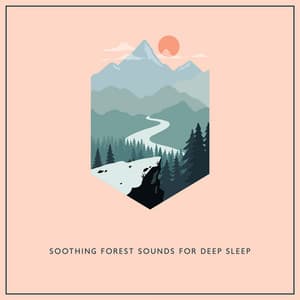 Soothing Forest Sounds for Deep Sleep - Water Sounds