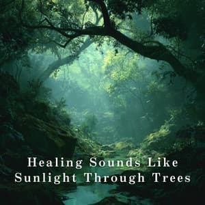 Healing Sounds Like Sunlight Through Trees - Relax α Wave