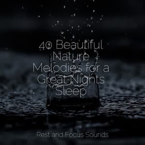 40 Beautiful Nature Melodies for a Great Nights Sleep - Relaxing Spa Music