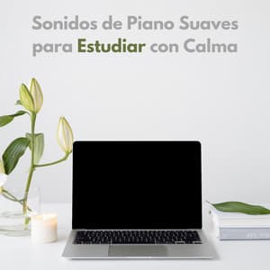 Sonidos De Piano Suaves Para Estudiar Con Calma - Lista de reproducción de piano clásico