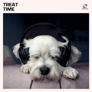Treat Time - Music for Dogs Collective