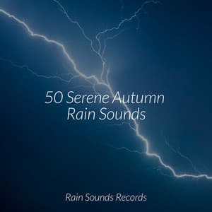 50 Serene Autumn Rain Sounds - Relaxing Spa Music