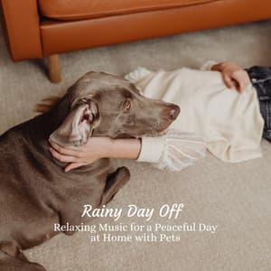 Rainy Day Off: Relaxing Music for a Peaceful Day at Home with Pets - Rain Face
