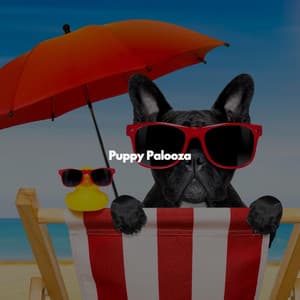 Puppy Palooza - Relajante Jazz Bossa Nova