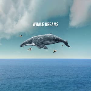 Whale Dreams - Natural Sounds