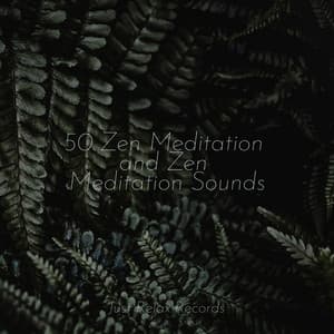 50 Zen Meditation and Zen Meditation Sounds - Meditación Guiada