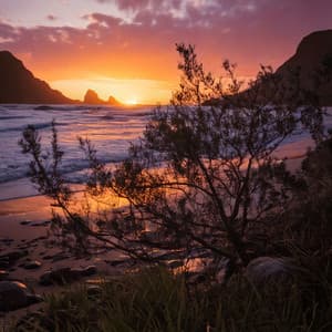 Lofi Vibes for Restful Moods - Harp Relaxation