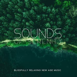 Sounds of Serenity - Blissfully Relaxing New Age Music with Nature Sounds for Morning & Evening Meditations, Anxiety Relief, Peace of Mind, Quiet Contemplation, Healing Power of Music - Relaxation New Age Melodies