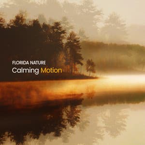Calming Motion - Florida Nature