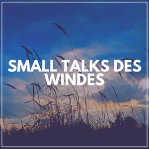 Small Talks Des Windes - Sanfte Klänge
