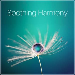 Soothing Harmony - Inspiring Tranquil Sounds