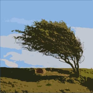 Soothing Winds and Rain for Background Sounds and White Noise - White Noise for Studying