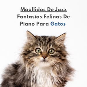 Maullidos De Jazz: Fantasías Felinas De Piano Para Gatos - Chill Lounge Vibraciones